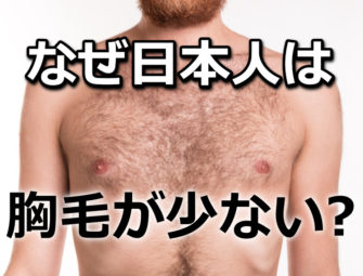 【悲報】日本人男性の胸毛が少ない理由が悲しすぎる・・